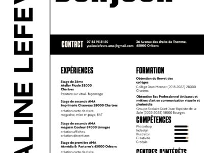 Recherche maître d'apprentissage vitrailliste