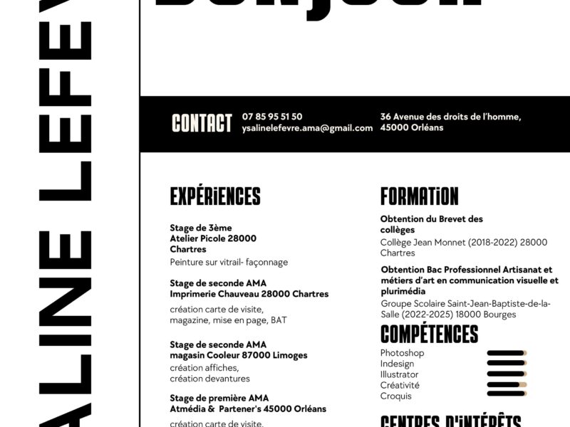 Recherche maître d'apprentissage vitrailliste